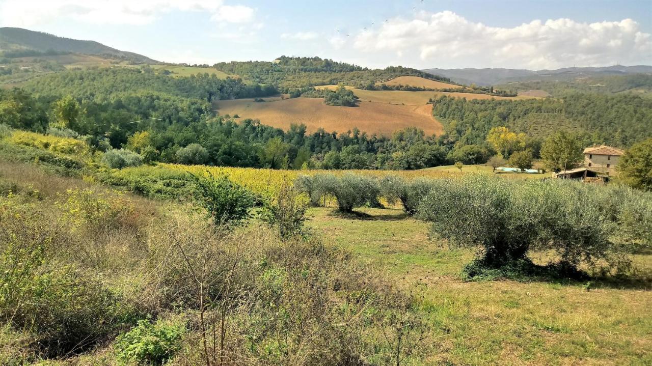 Villa Campo Al Vento - Country Farm Monte Castello di Vibio Exterior foto